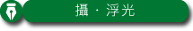 攝・浮光