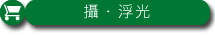 攝・浮光